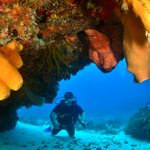 Diving in Cozumel 1